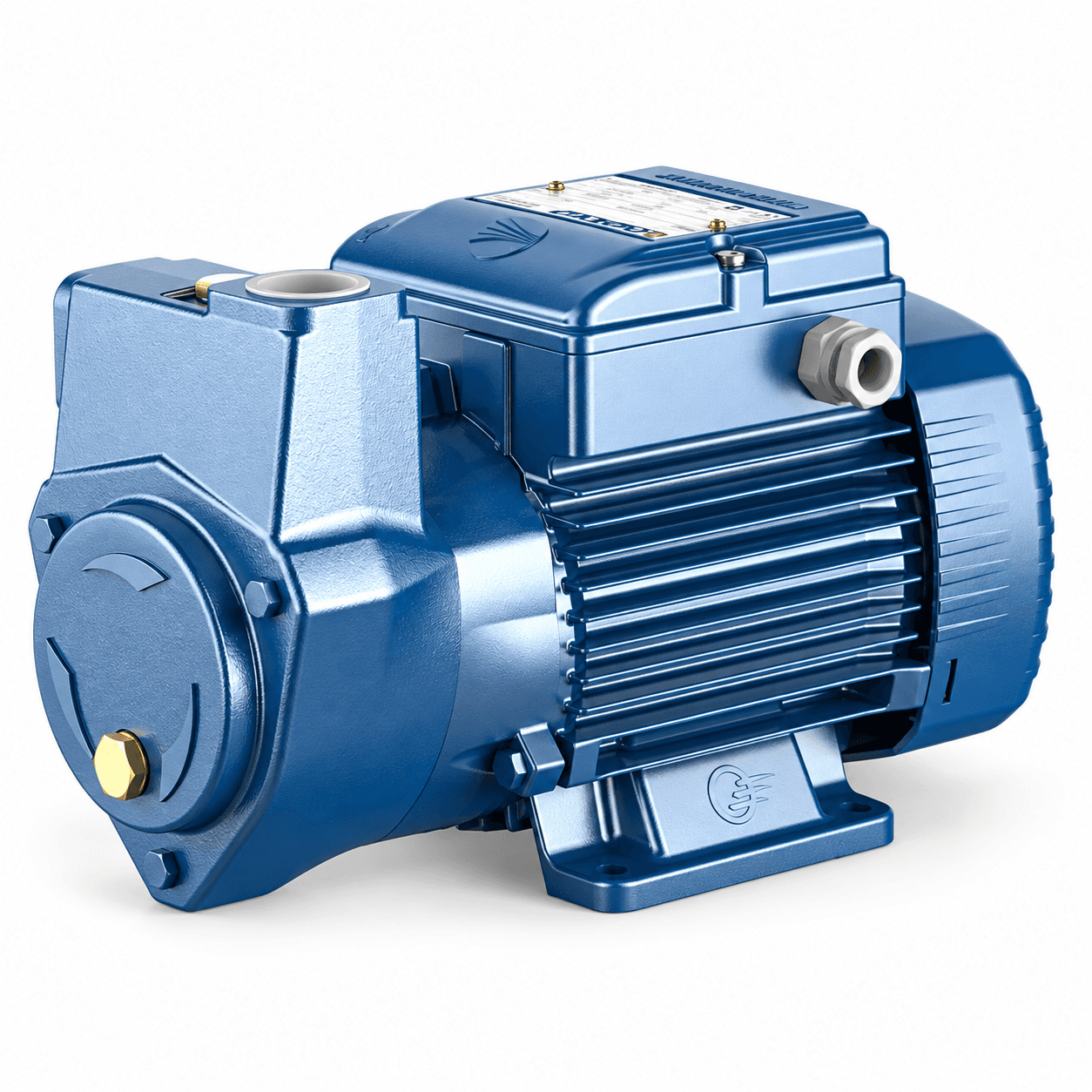 Dæla olía / vatn 5-50L - 240V 50Hz- 1" BSP -1 Fasa